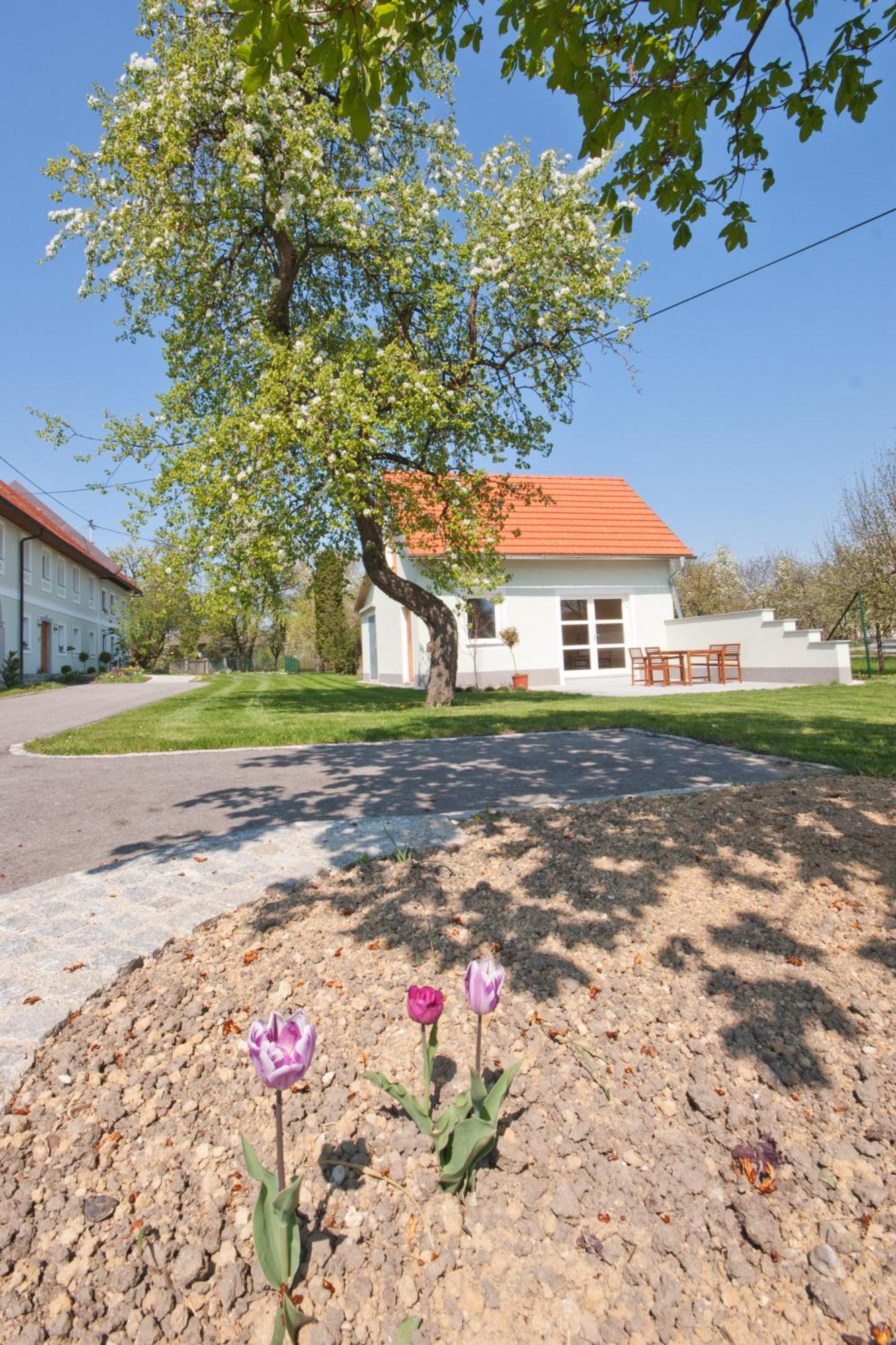 Landhaus Essl Dietach Luaran gambar